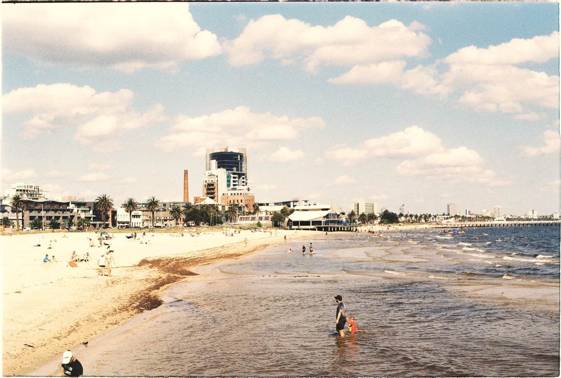 St Kilda beach on a sunny day, families on the sand and in the shallows, palm trees along the foreshore.