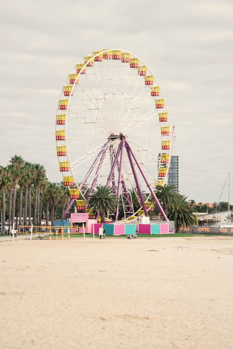 A brightly painted ferris wheel rising above palm trees on a seaside foreshore.